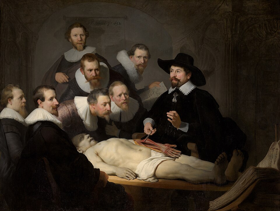 Rembrandt Anatomy